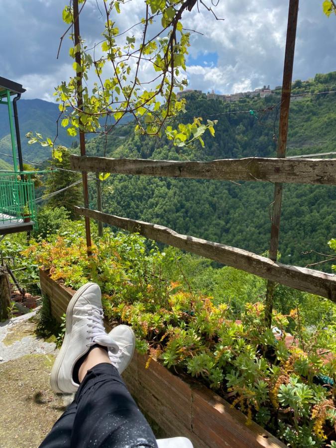 Villa A Ca' Da Zia Corte  Esterno foto