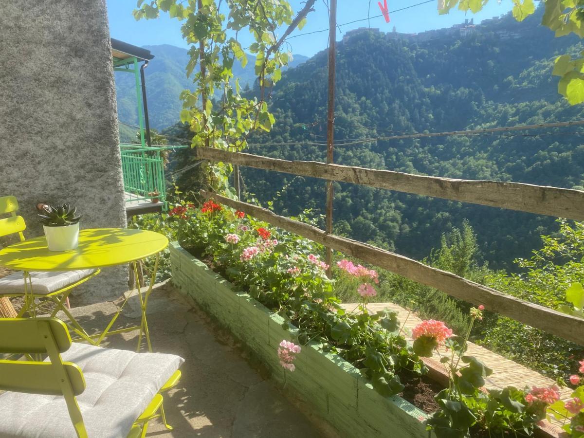 Villa A Ca' Da Zia Corte  Esterno foto
